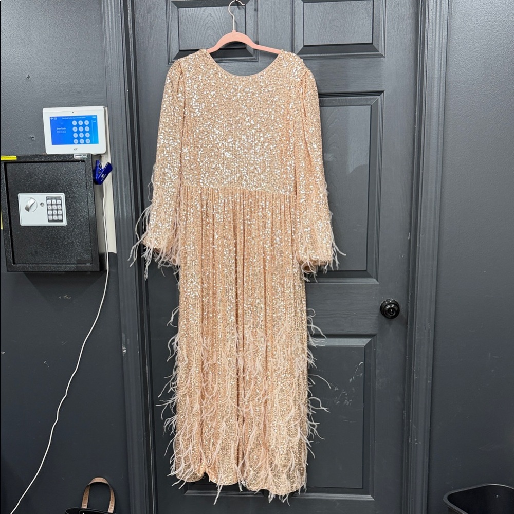 Elegant Sequin and Feather Dress